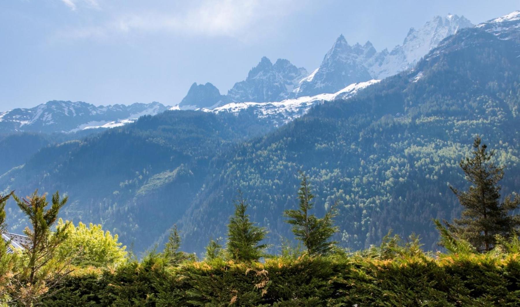 Villa Floria Apartment Chamonix Dış mekan fotoğraf